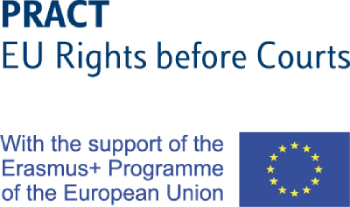 Understanding EU Law in Practice: EU Rights in Action before Courts